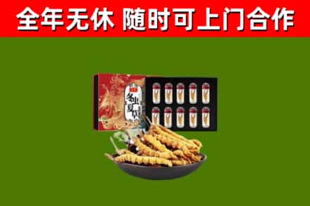 罗甸回收冬虫夏草价格